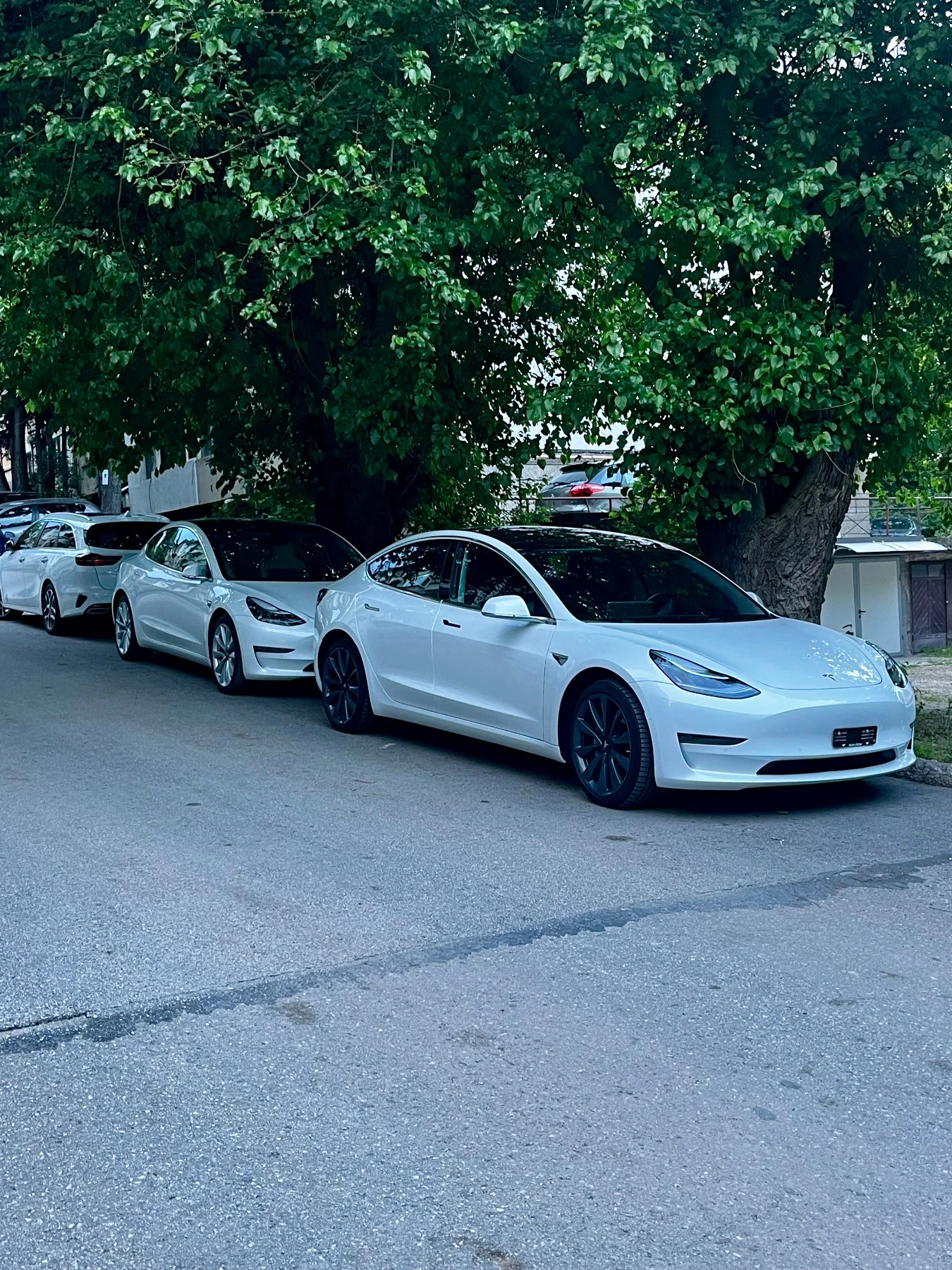 Tesla Model 3 ШВЕЙЦАРИЯ!!! ДВА БРОЯ !!!Гаранция!!!, снимка 17 - Автомобили и джипове - 54031177