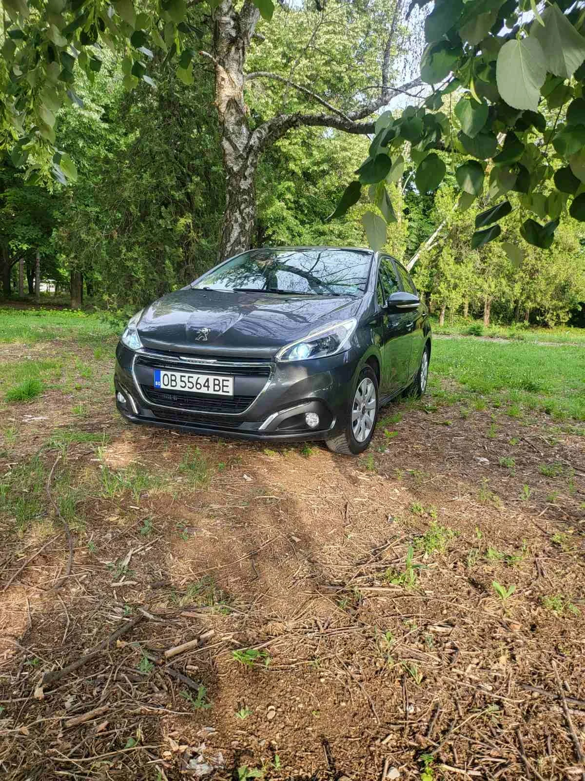 Peugeot 208  - изображение 2