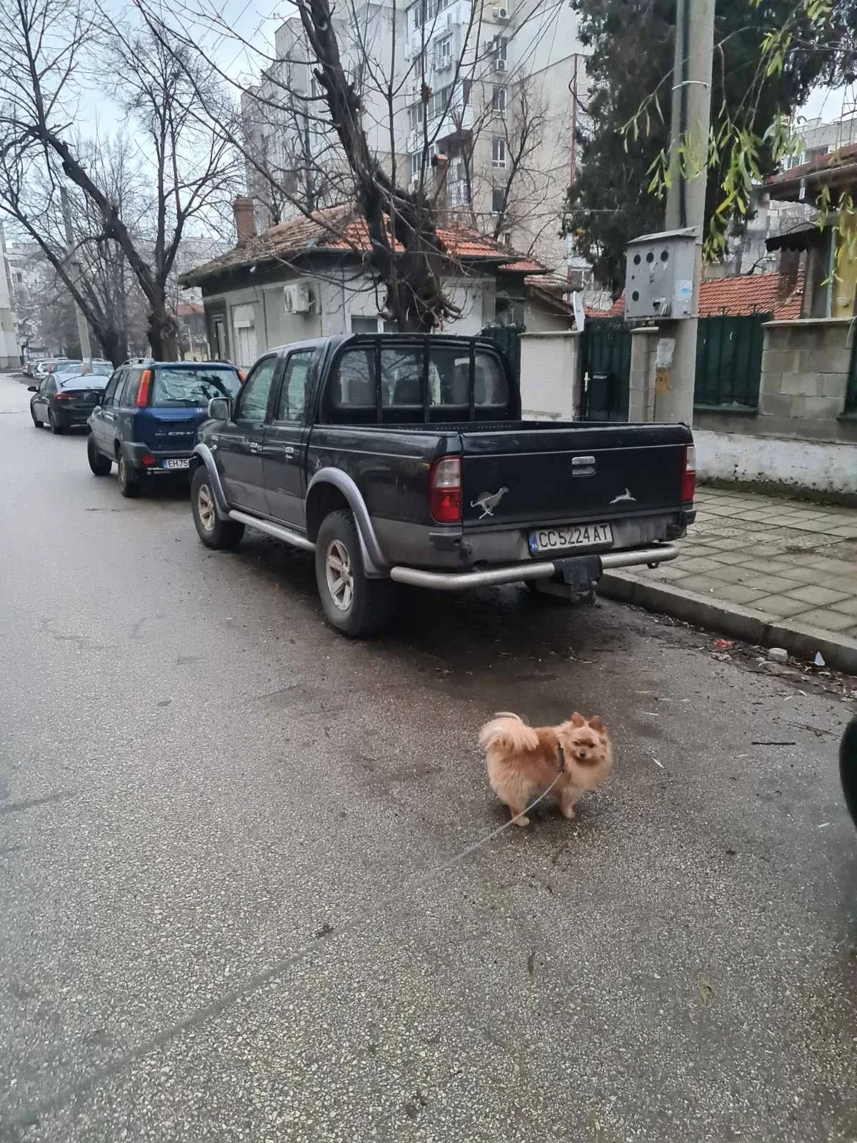 Ford Ranger  - изображение 3