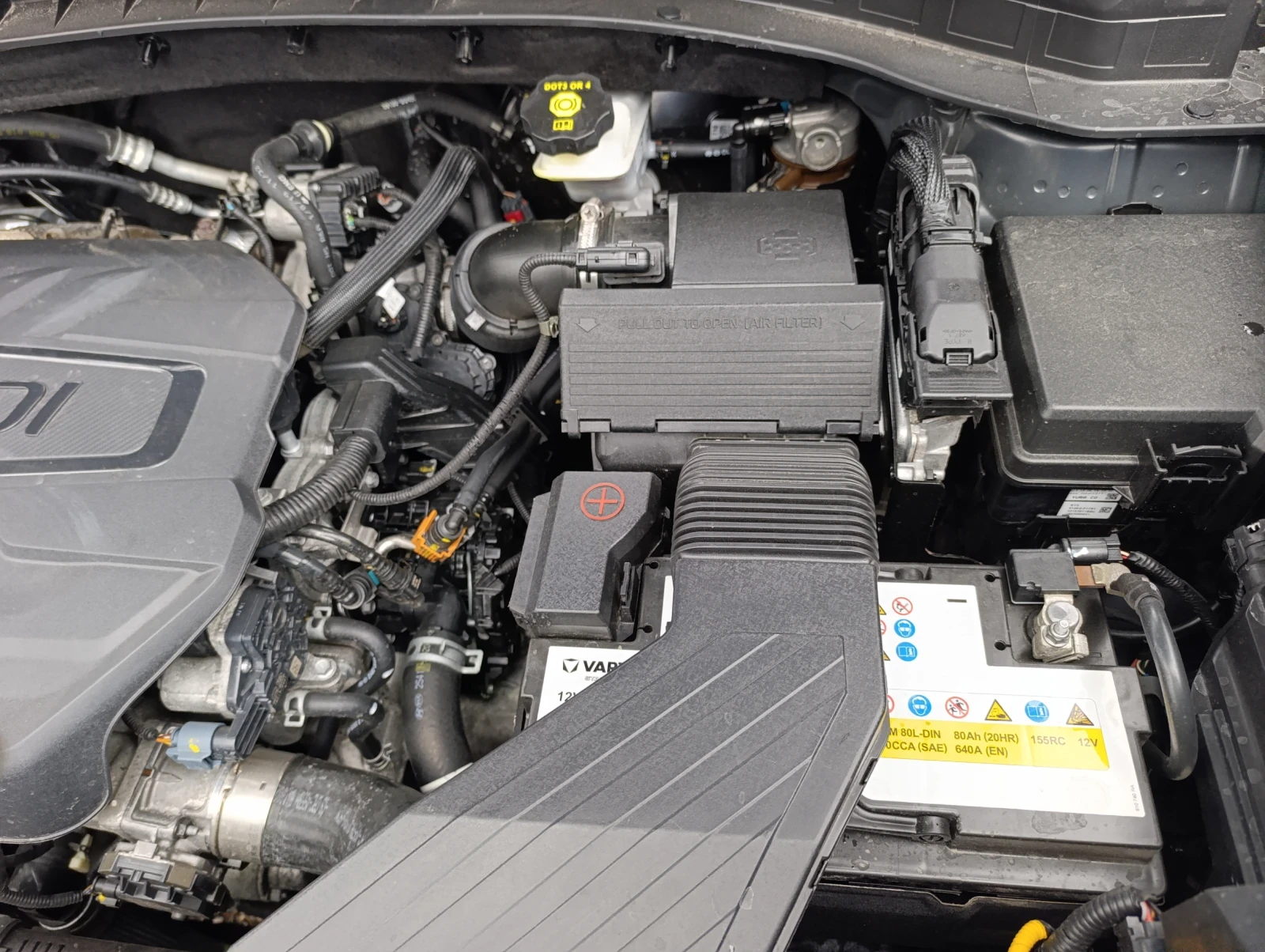 Kia Sportage Sportage  - изображение 10