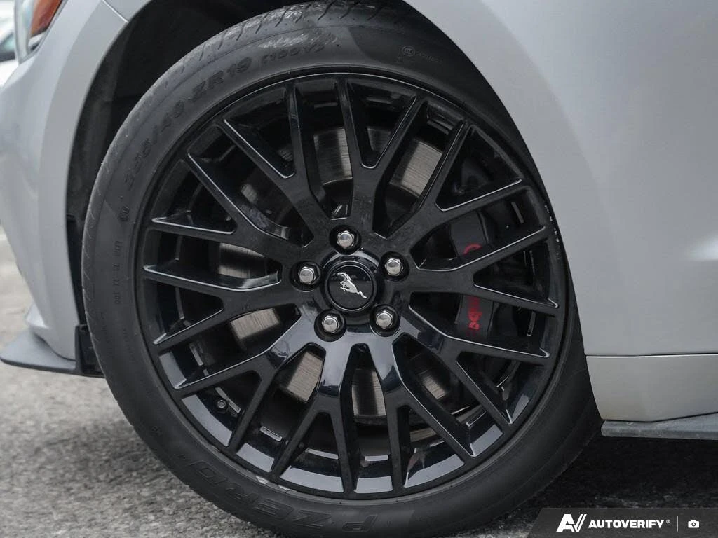 Ford Mustang GT Coupe RWD * CARFAX * АвтоКредит* (ЦЕНА ДО БГ) - изображение 6