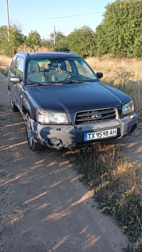     Subaru Forester