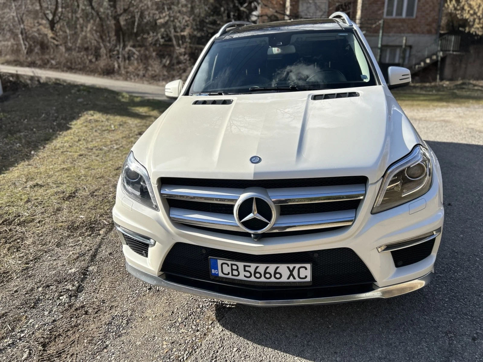 Mercedes-Benz GL 350 BLUETEC 4MATIC G-TRONIC - [1] 