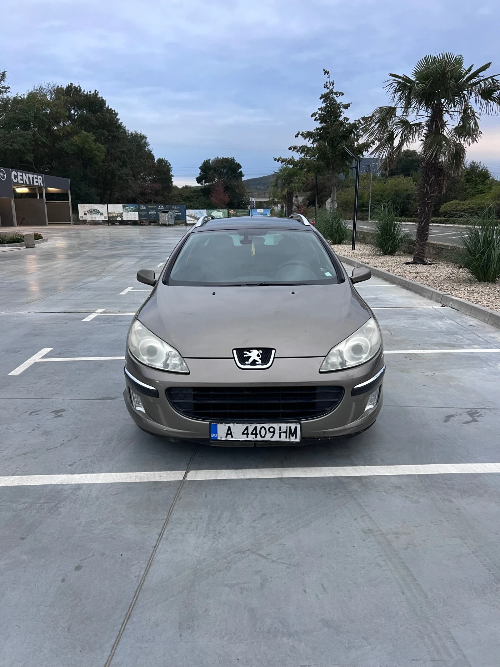 Peugeot 407