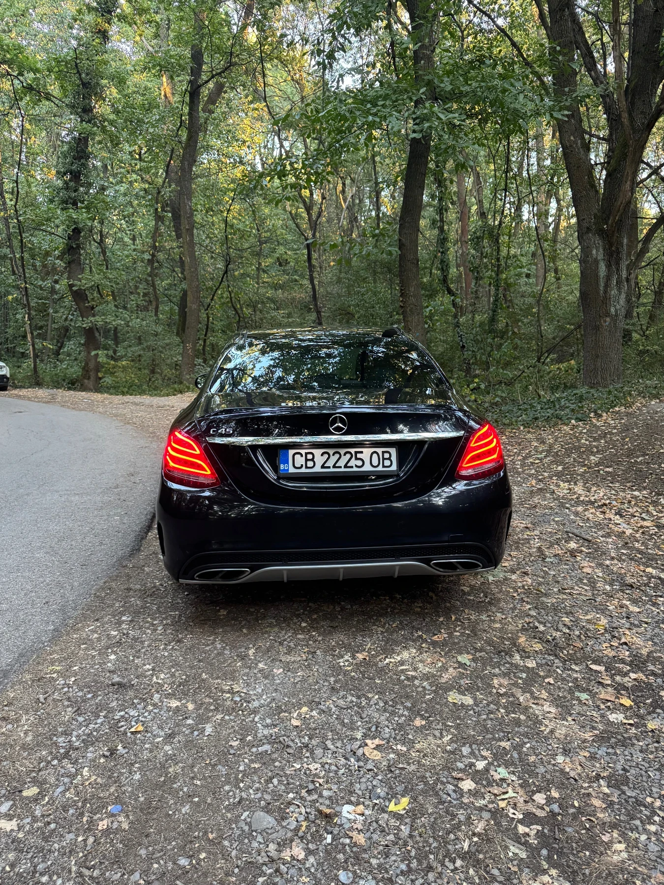 Mercedes-Benz C 450 AMG 4 MATIC, снимка 3 - Автомобили и джипове - 54788875