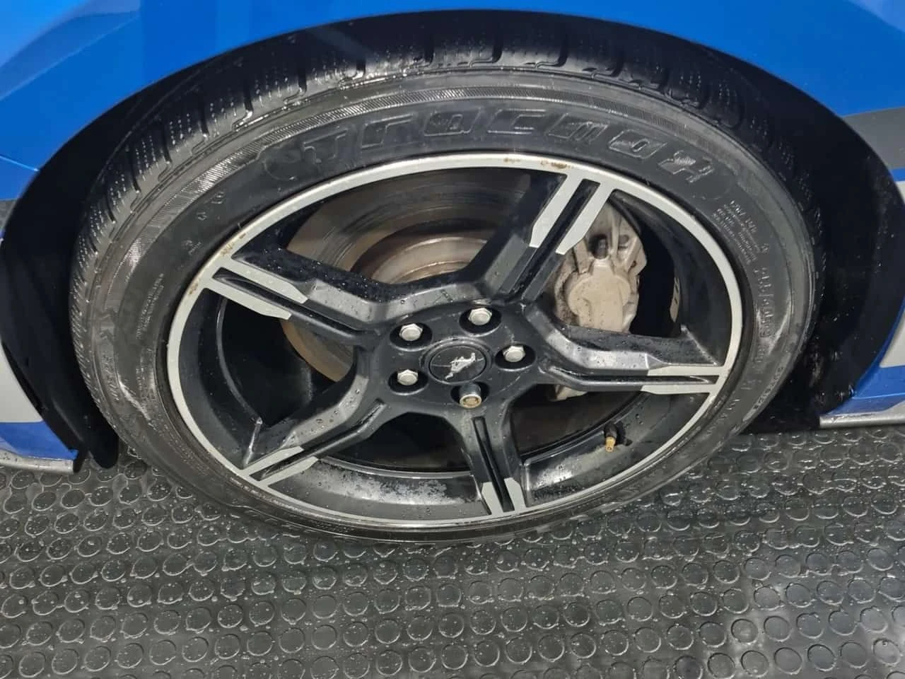 Ford Mustang  ECOBOOST /GT500 PACK / CAMERA  | Mobile.bg � ����������� 17