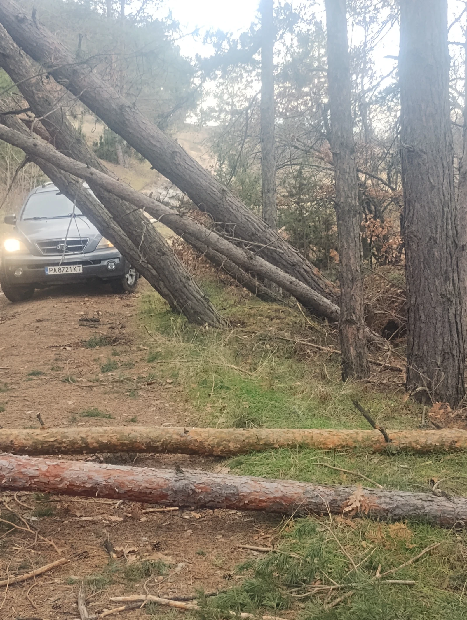 Kia Sorento, снимка 6 - Автомобили и джипове - 53807114