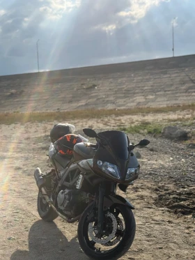     Suzuki SV