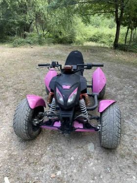     Bashan BS 300