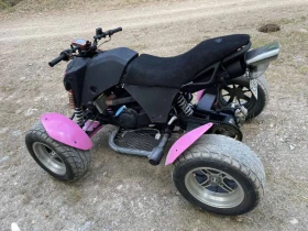     Bashan BS 300