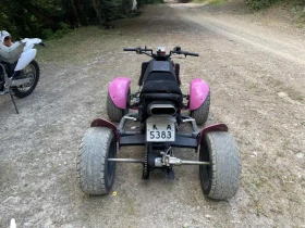     Bashan BS 300