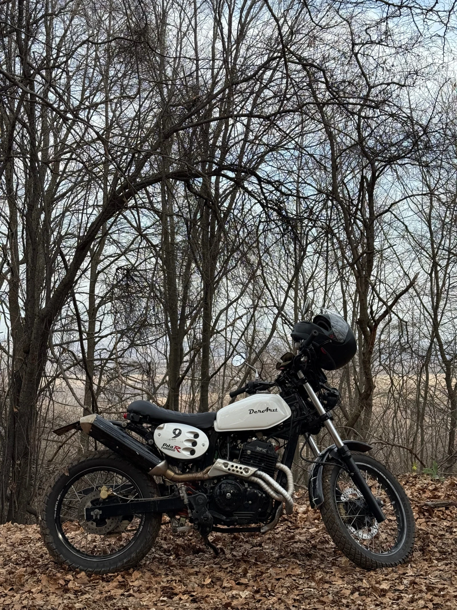 Honda SLR Scrambler, снимка 13 - Мотоциклети и мототехника - 54139517