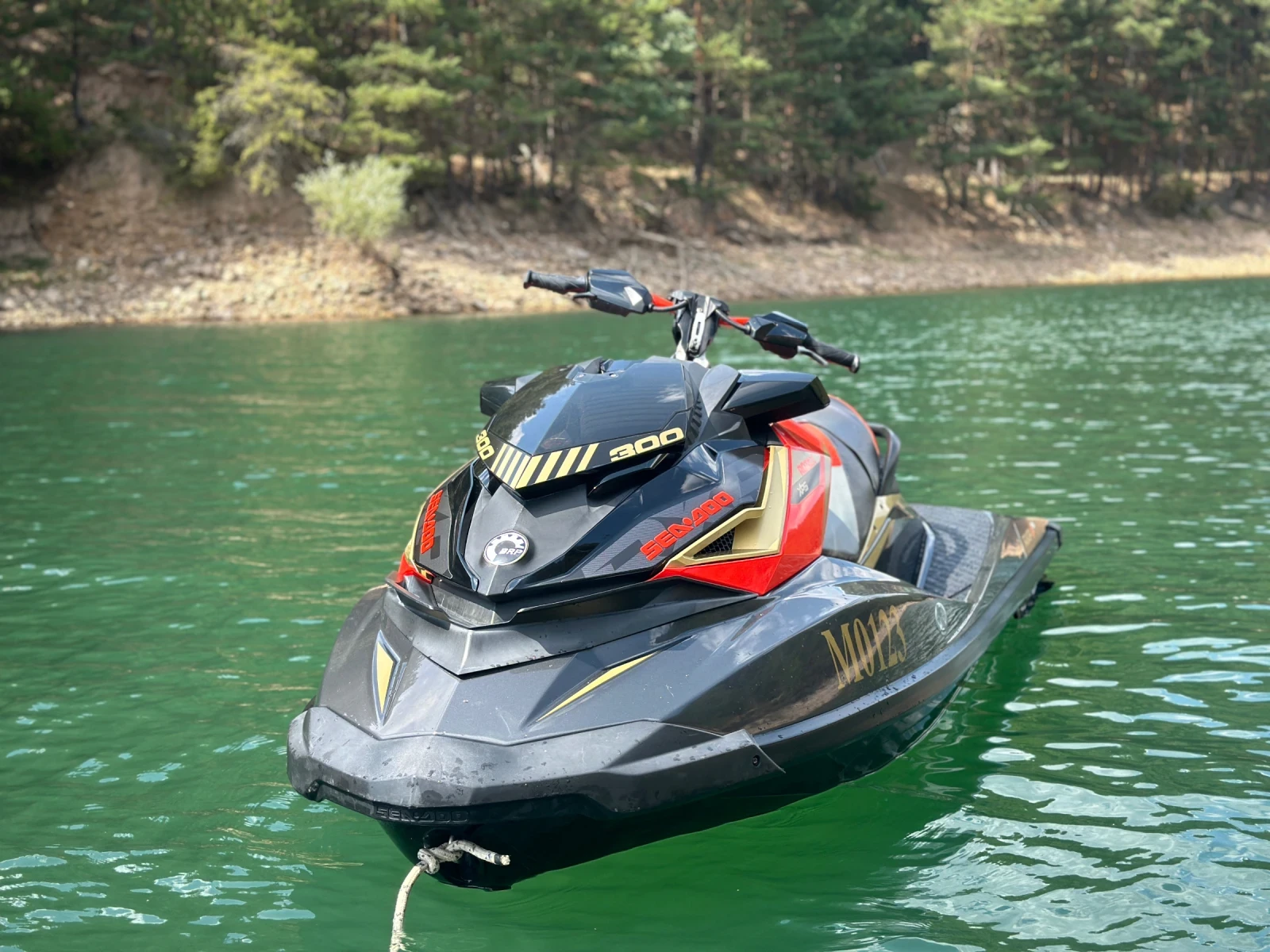 Джет Bombardier Sea Doo RXP-X300RS - изображение 3
