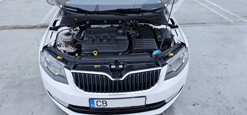 Skoda Octavia 1.6d Еуратек един собственик , снимка 16 - Автомобили и джипове - 48289794