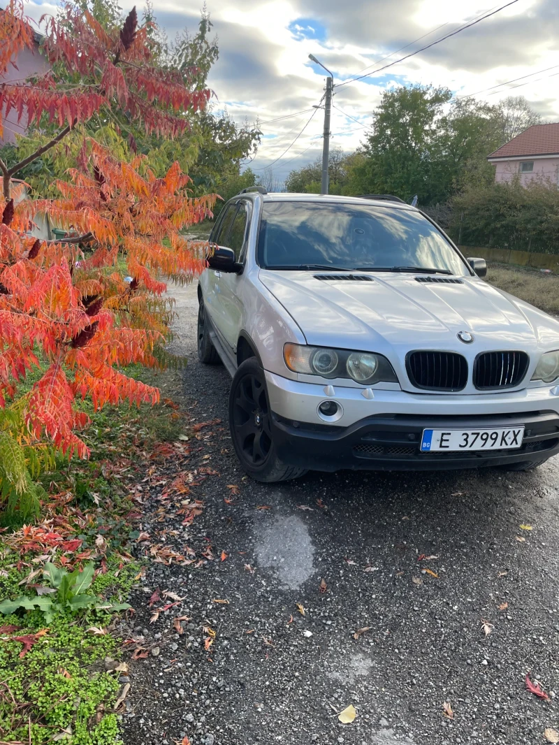 BMW X5 Е53, снимка 2 - Автомобили и джипове - 53003024