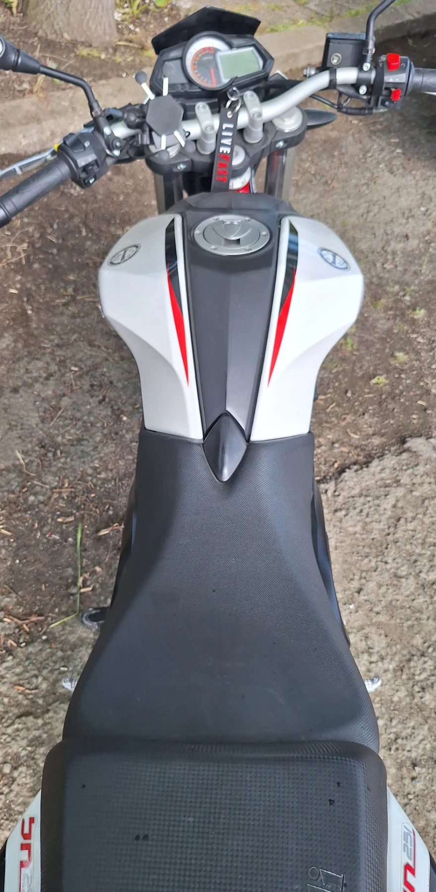 Benelli 250 BN 251, снимка 6 - Мотоциклети и мототехника - 54393134
