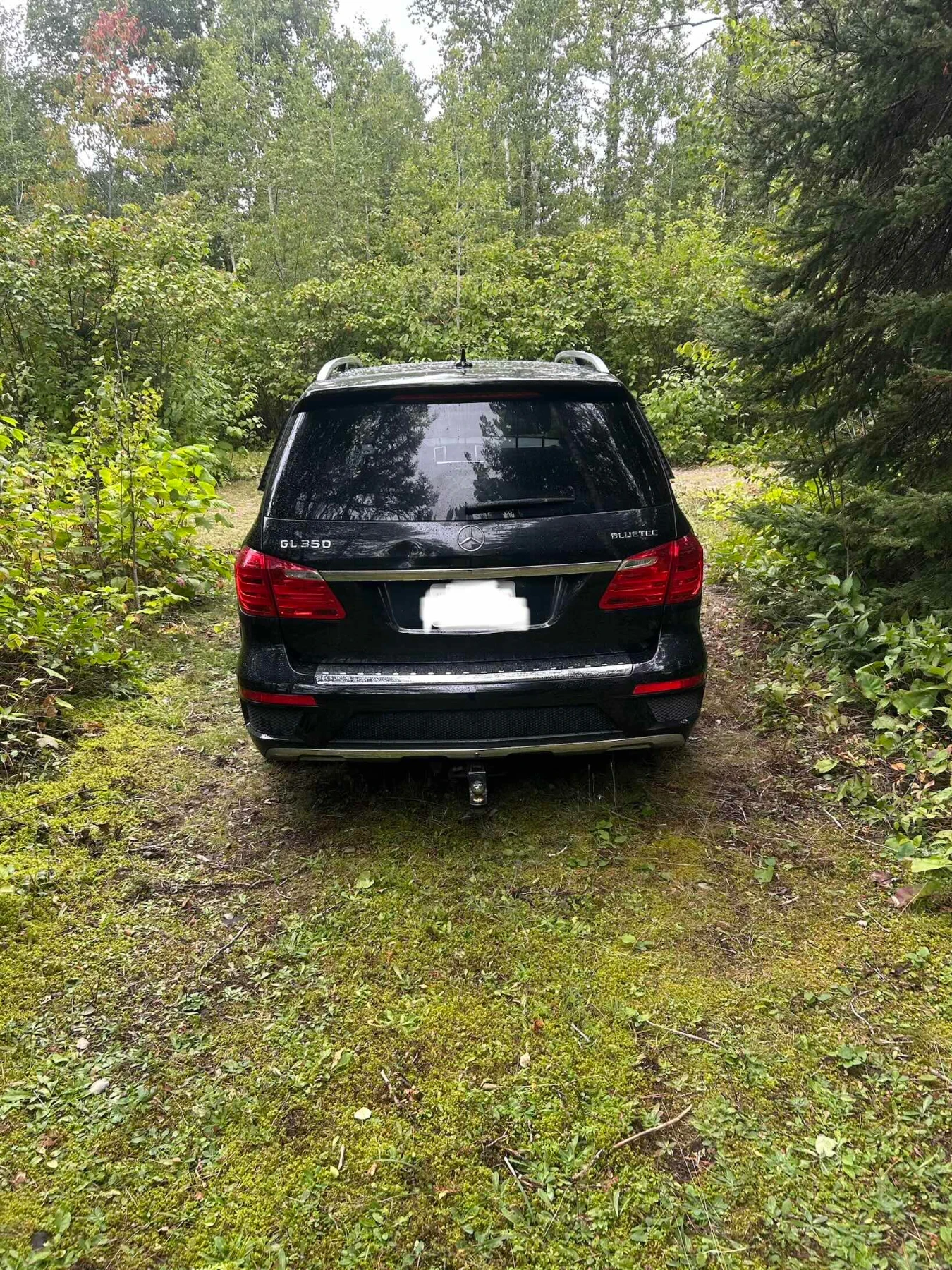 Mercedes-Benz GL 350 ��������� * * CARFAX * * ���� ������ * *  | Mobile.bg � ����������� 5