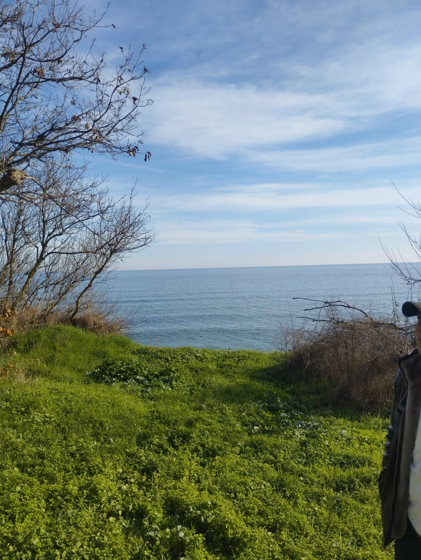 �������� KIP � 42 | Mobile.bg � ����������� 14