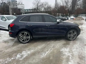 Audi SQ5 * 3.0T Technik * CARFAX * КИЙЛЕС* ОБДУХВАНЕ*  - 12100 € / 23665.54 лв. - 51803245 3