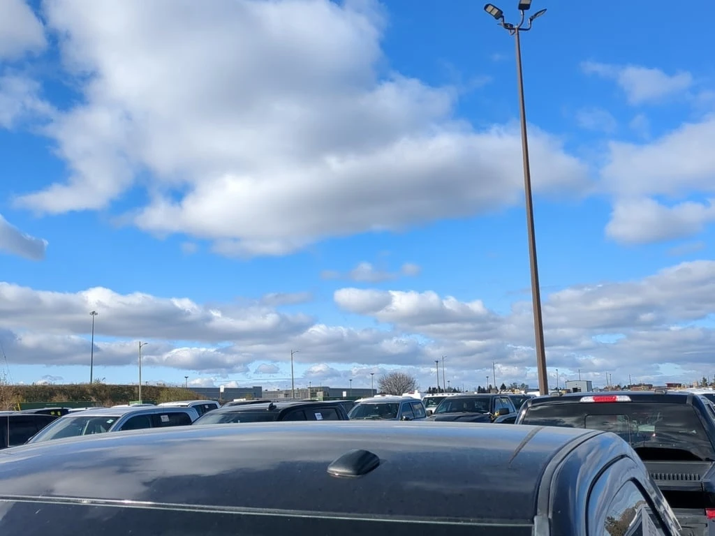 Dodge RAM 1500 EXPRESS REGULAR CAB STD BED  CARFAX | Mobile.bg   16