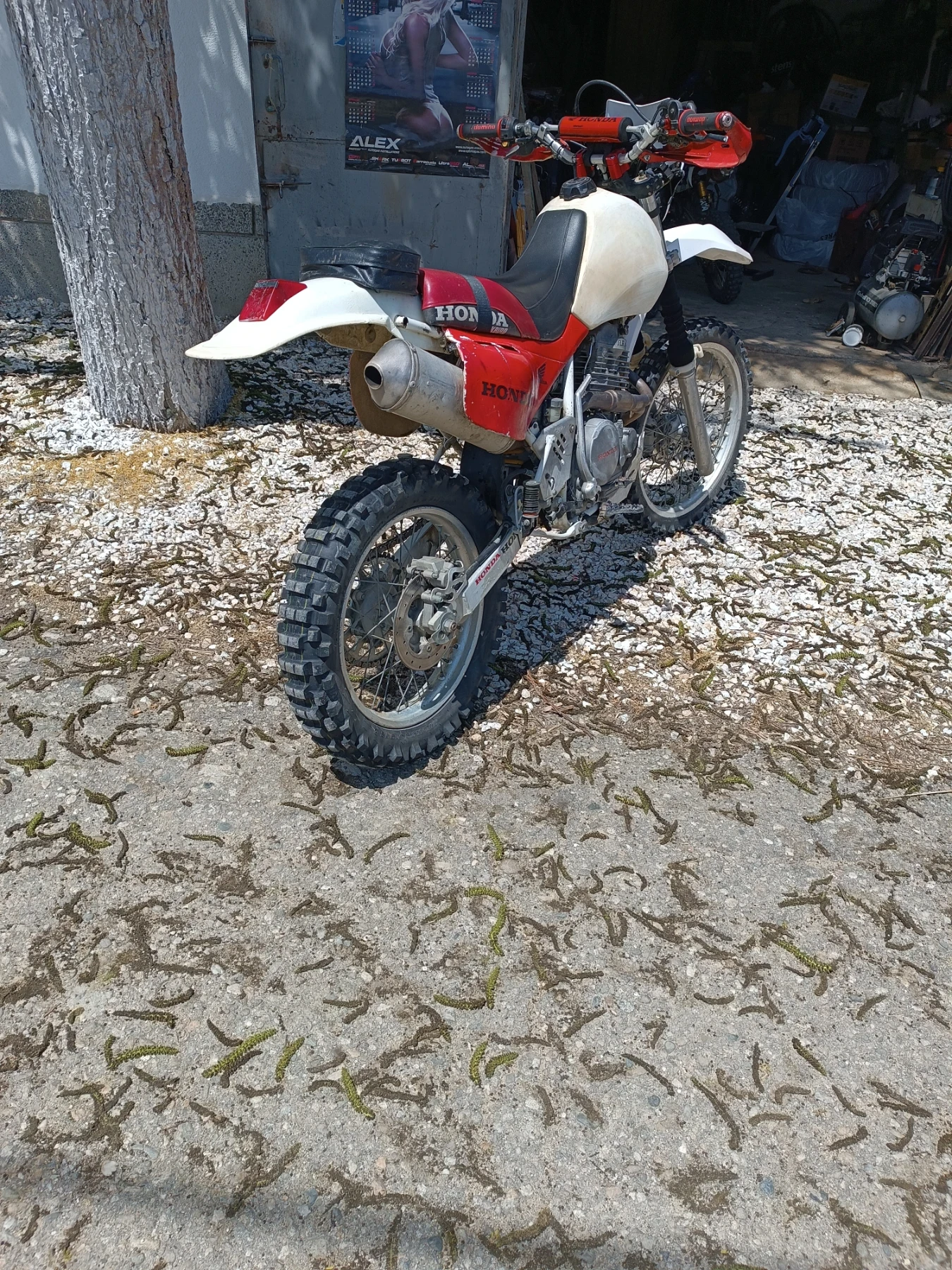 Honda Xr 600, снимка 4 - Мотоциклети и мототехника - 54512242