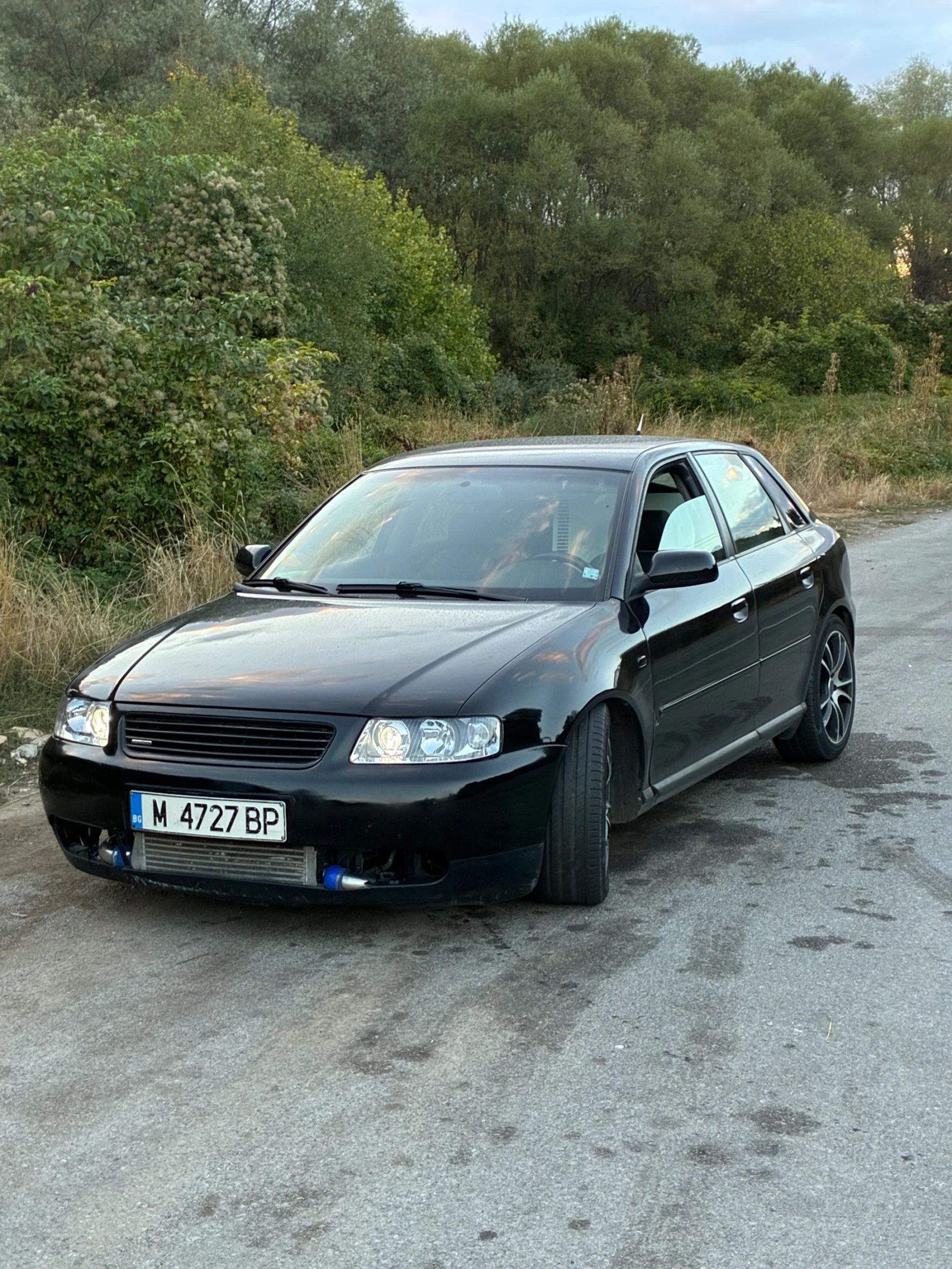 Audi A3 1.9TDI QUATTRO, снимка 7 - Автомобили и джипове - 56295096
