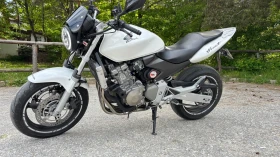  Honda Hornet