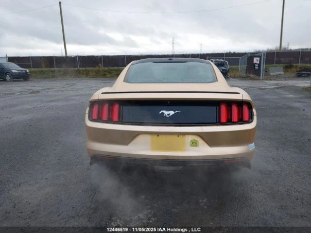 Ford Mustang ECOBOOST* PREMIUM* * *  | Mobile.bg   5