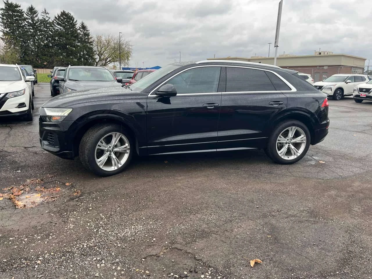 Audi Q8 * Technik * CARFAX * ���� �� �� | Mobile.bg � ����������� 4