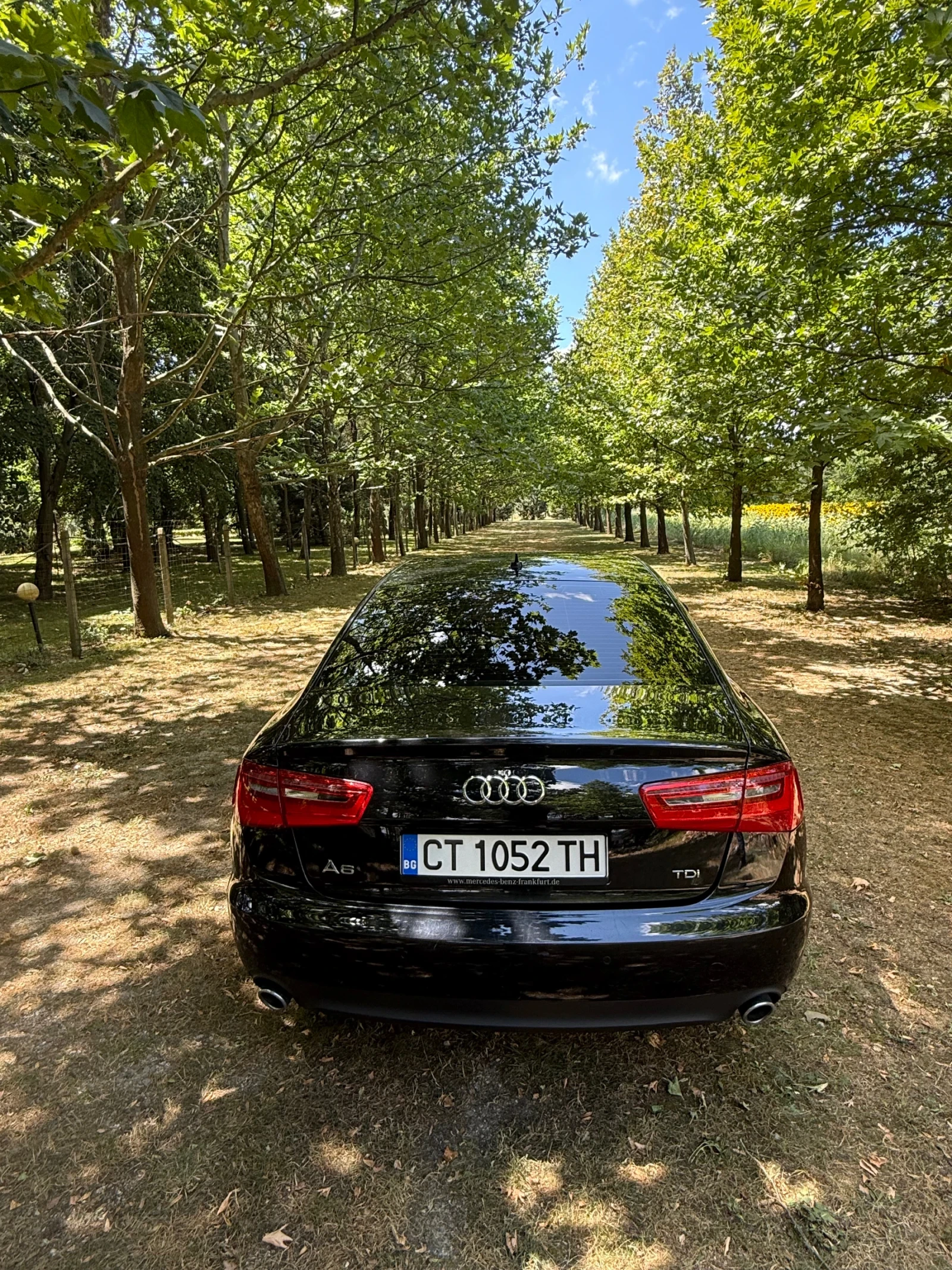 Audi A6 3 TDI, снимка 5 - Автомобили и джипове - 55413660