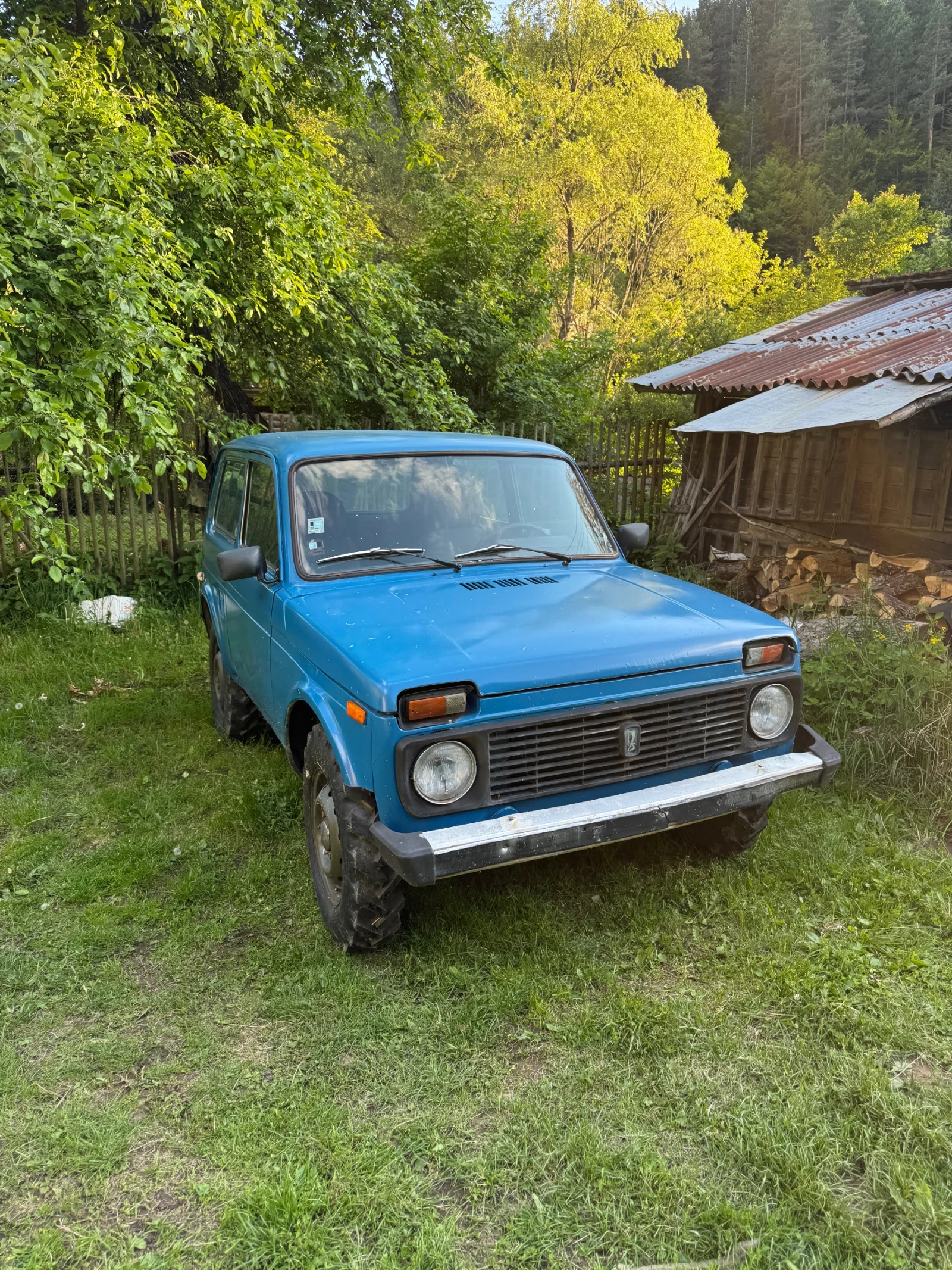 Lada Niva, снимка 1