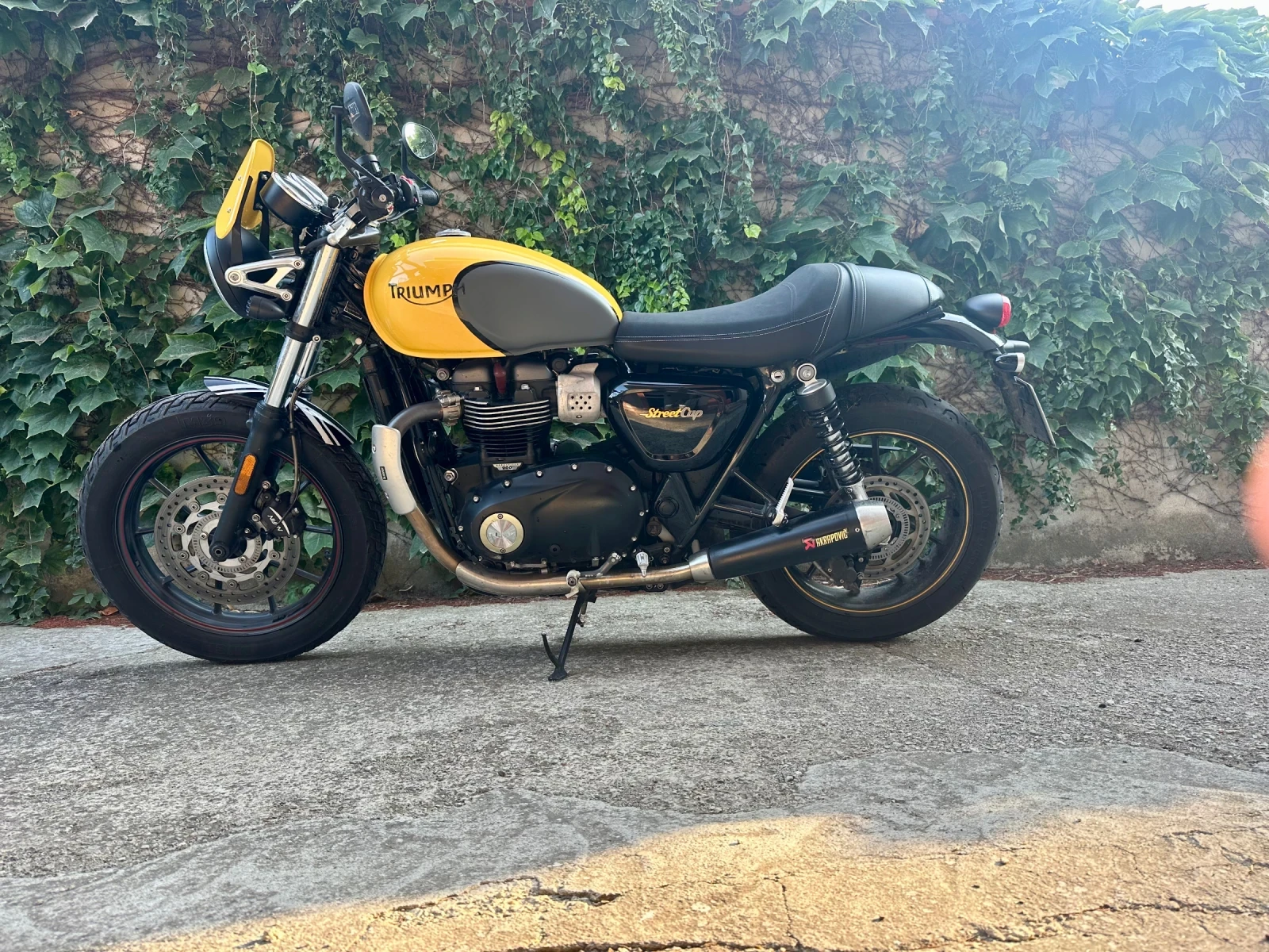Triumph Speed Twin Street CUP - изображение 3
