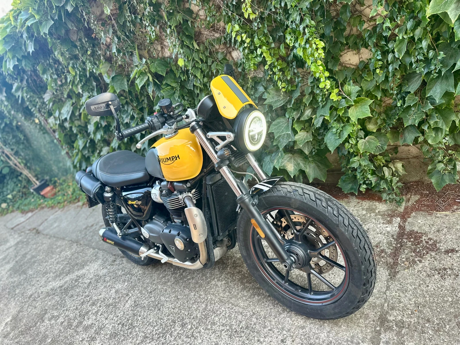Triumph Speed Twin Street CUP - изображение 8