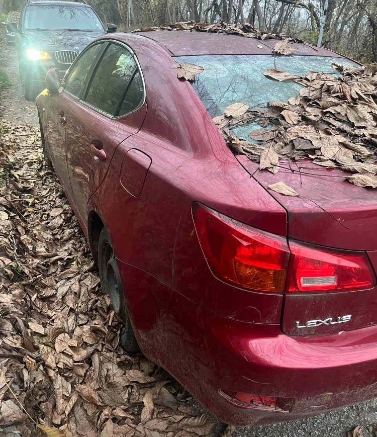 Lexus IS 220d Dcat 177 p.h Дензо дюзи - изображение 4