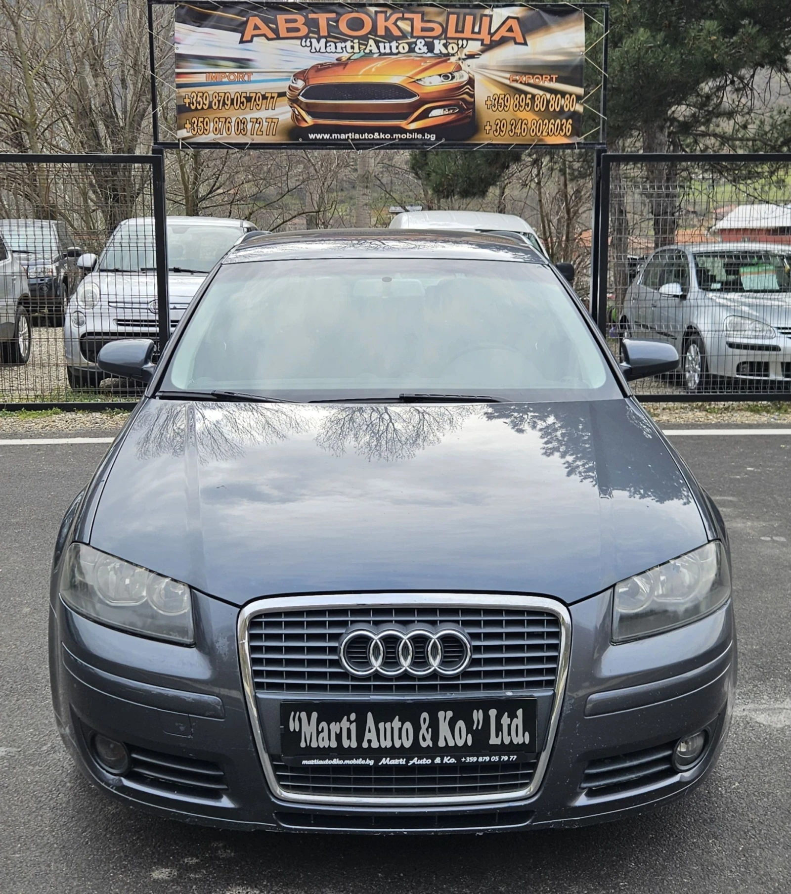 Audi A3 1.9 TDI Sportback, снимка 3 - Автомобили и джипове - 53976103