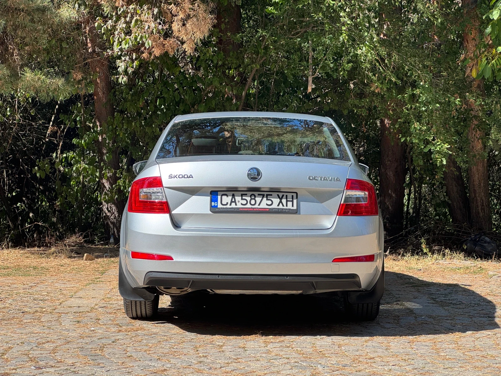 Skoda Octavia, снимка 4 - Автомобили и джипове - 56194175