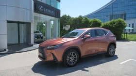     Lexus NX 350h 10  