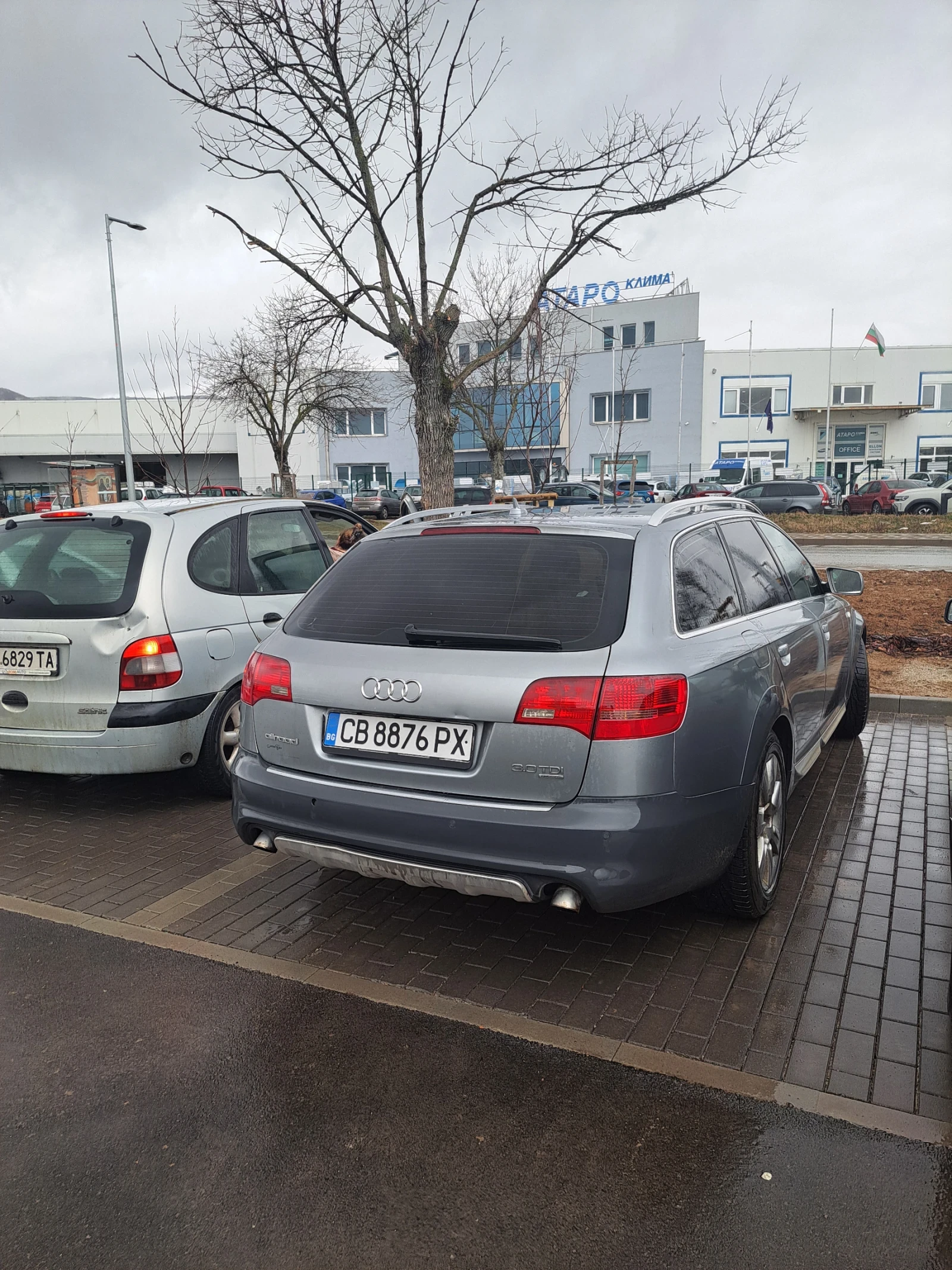 Audi A6 Allroad 3.00hdi ����� ��������� ����� | Mobile.bg � ����������� 14