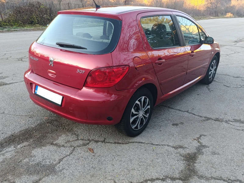 Peugeot 307 1.6 GAS, снимка 4 - Автомобили и джипове - 49471363