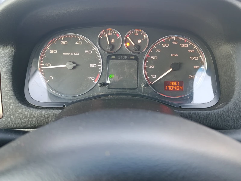 Peugeot 307 1.6 GAS, снимка 12 - Автомобили и джипове - 49471363