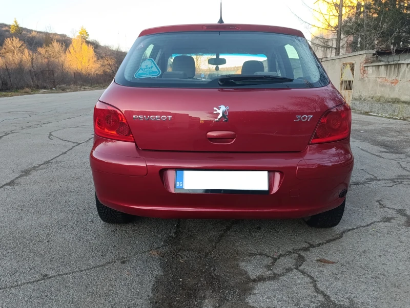 Peugeot 307 1.6 GAS, снимка 5 - Автомобили и джипове - 49471363