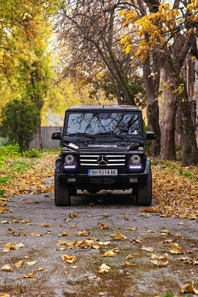 Mercedes-Benz G 400 | Mobile.bg    15