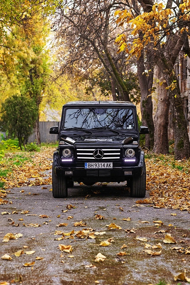 Mercedes-Benz G 400, снимка 15 - Автомобили и джипове - 48845880