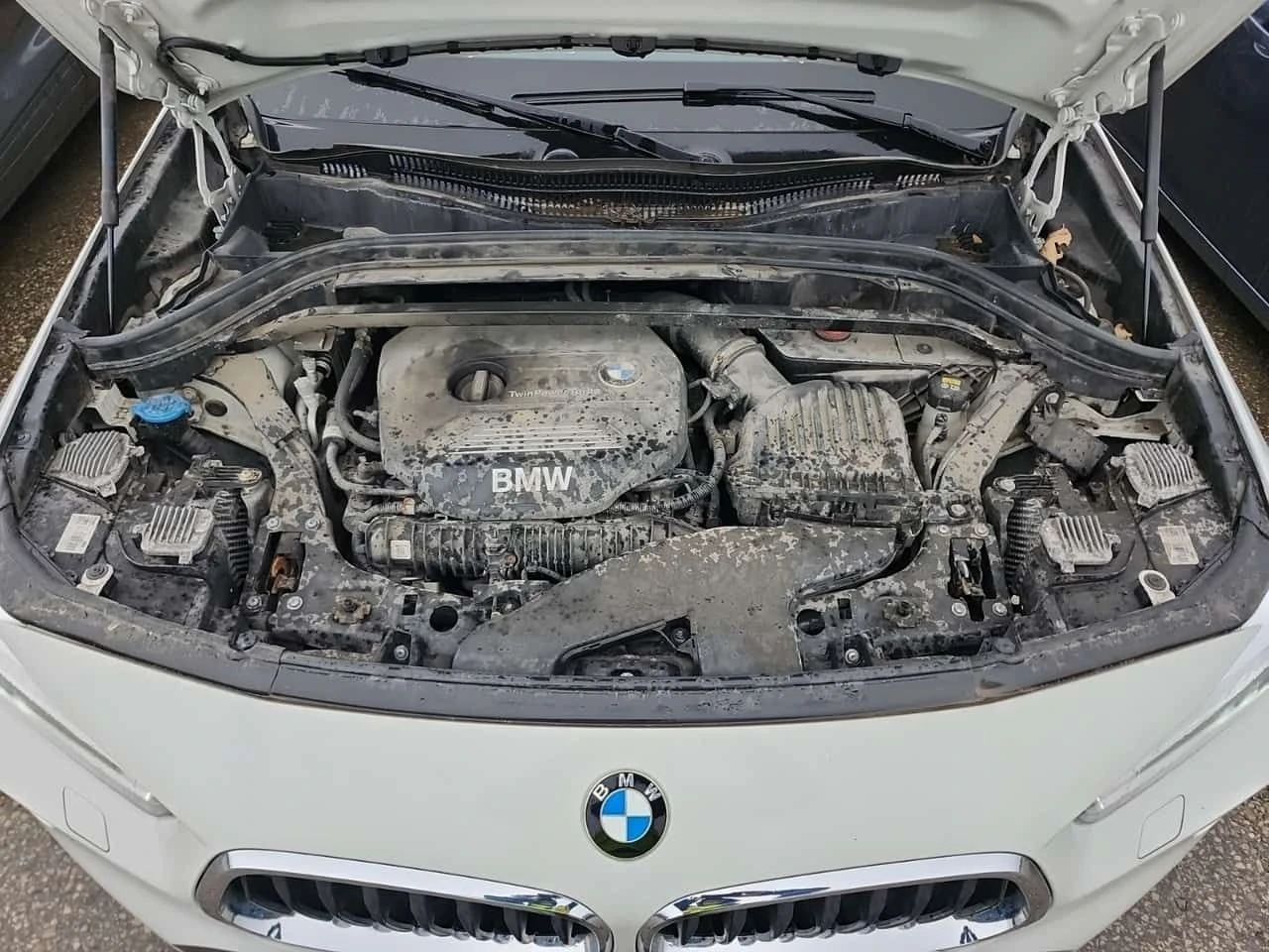 BMW X2 * Sports Activity Coupe Xdrive28i * CARFAX * БЕЗ П, снимка 17 - Автомобили и джипове - 55281601