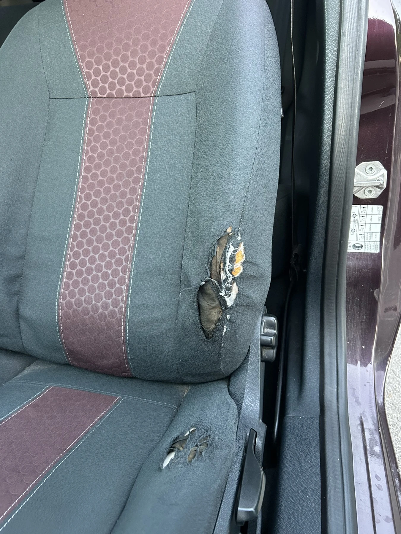 Ford Fiesta 1.25 ��� | Mobile.bg � ����������� 13