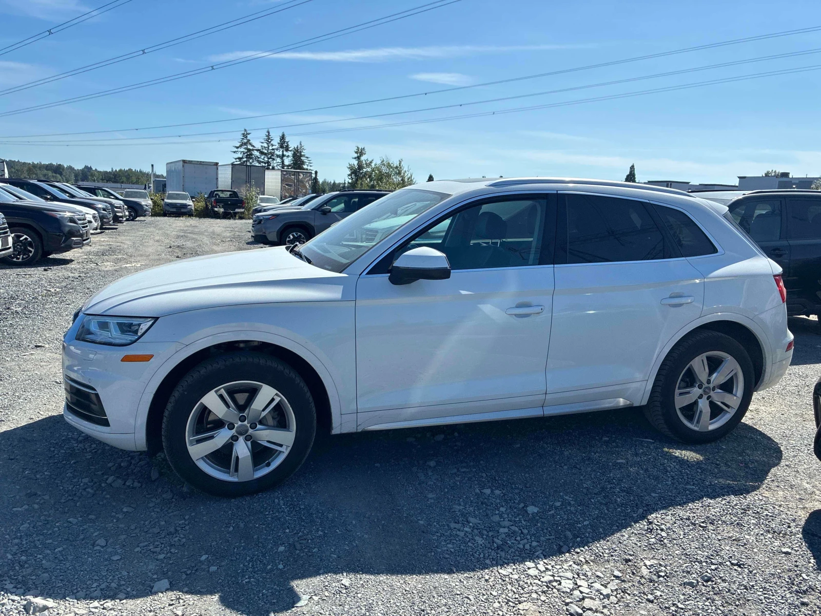 Audi Q5 Technik | CARFAX | АВТОКРЕДИТ БЕЗ ПЪРВОНАЧАЛНА , снимка 3 - Автомобили и джипове - 55676496