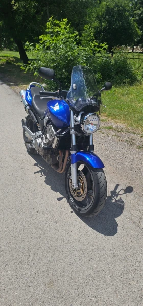 ����� �� �������� �� Honda Hornet 919