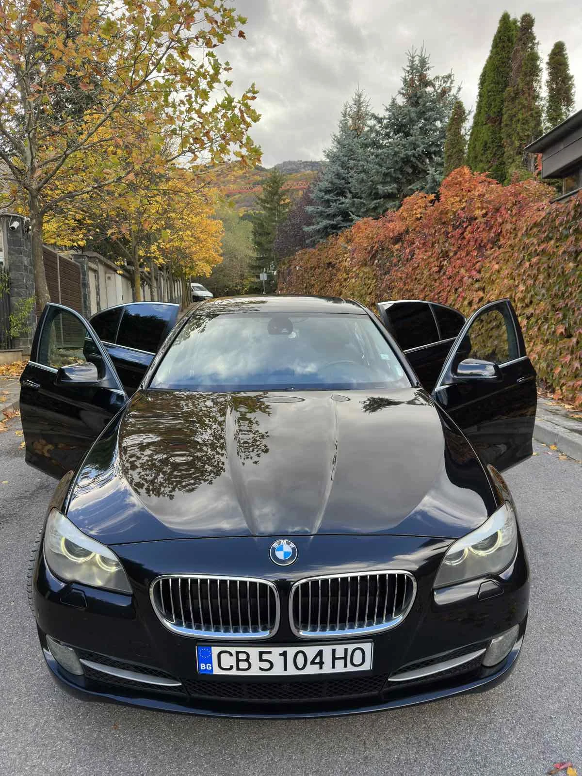 BMW 525 Luxury XDrive, снимка 2 - Автомобили и джипове - 53910853