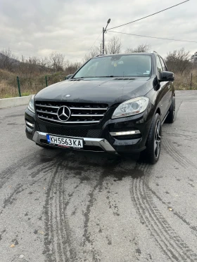     Mercedes-Benz ML 250