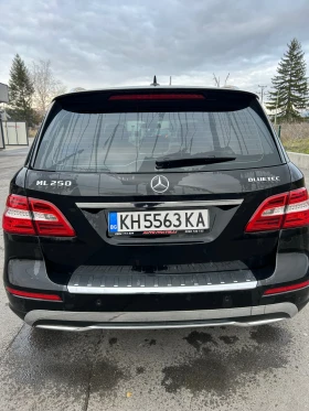 Mercedes-Benz ML 250, снимка 10